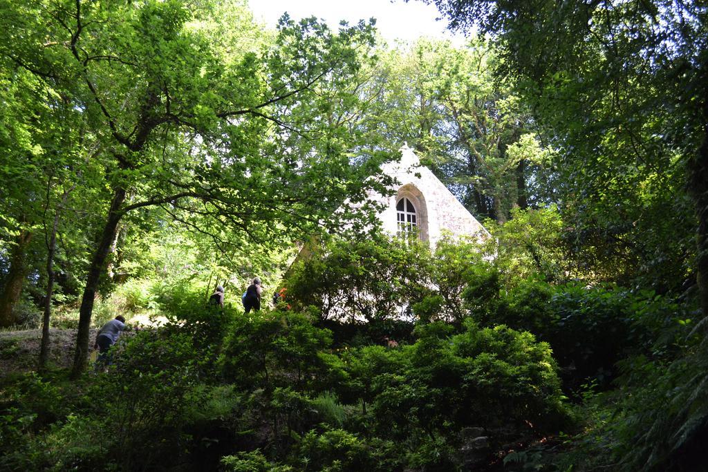 Ploërdut Le Gite De L'Araucaria المظهر الخارجي الصورة
