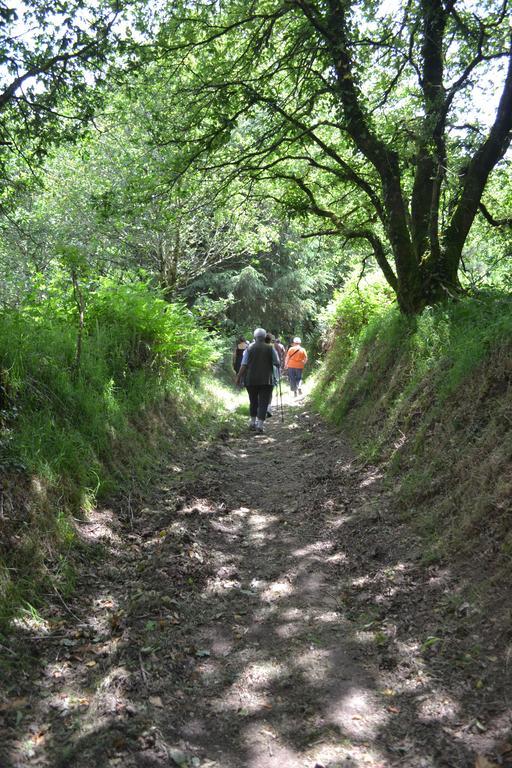 Ploërdut Le Gite De L'Araucaria المظهر الخارجي الصورة